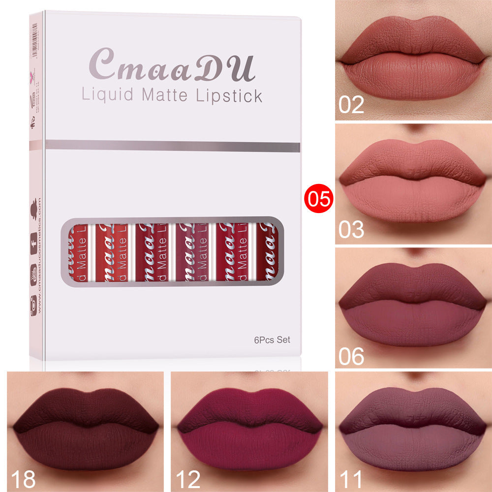 Long-Lasting Matte Lip Gloss with Vitamins β 6 pcs