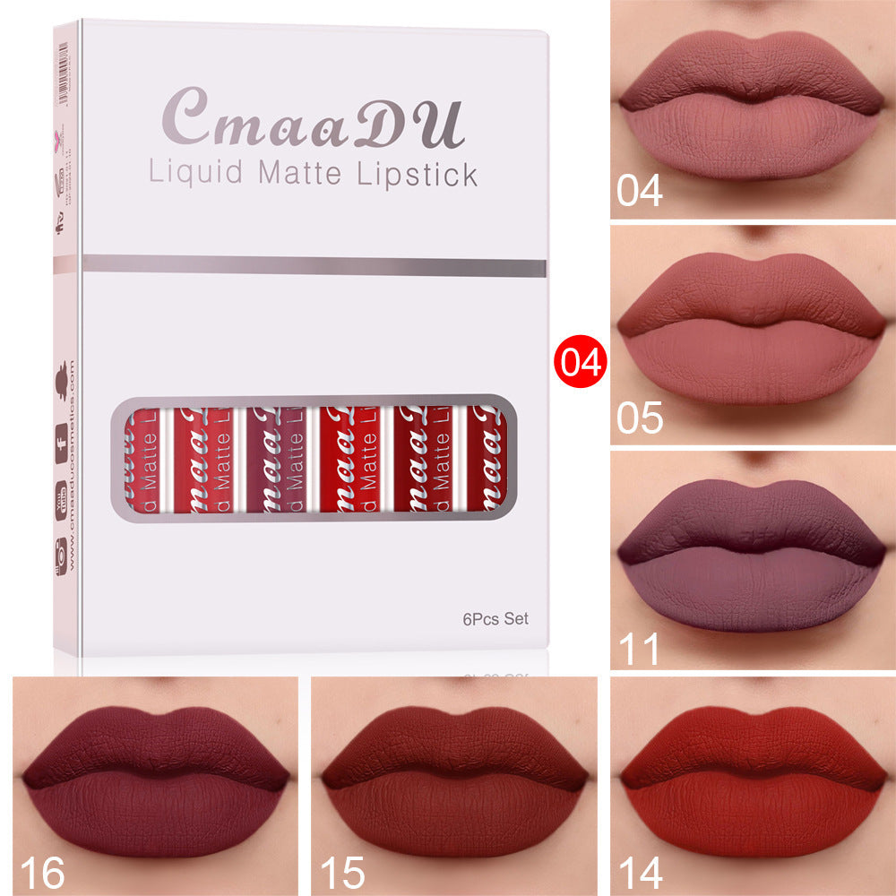 Long-Lasting Matte Lip Gloss with Vitamins β 6 pcs