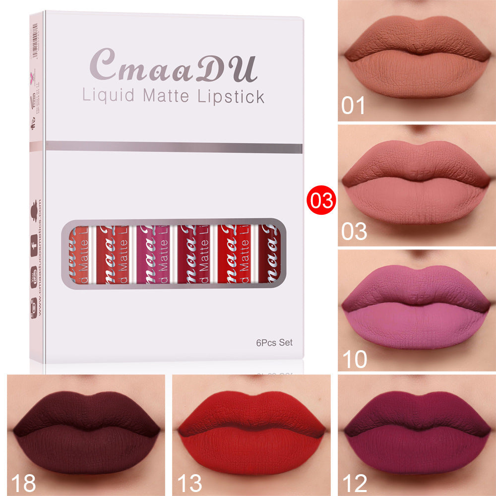 Long-Lasting Matte Lip Gloss with Vitamins β 6 pcs