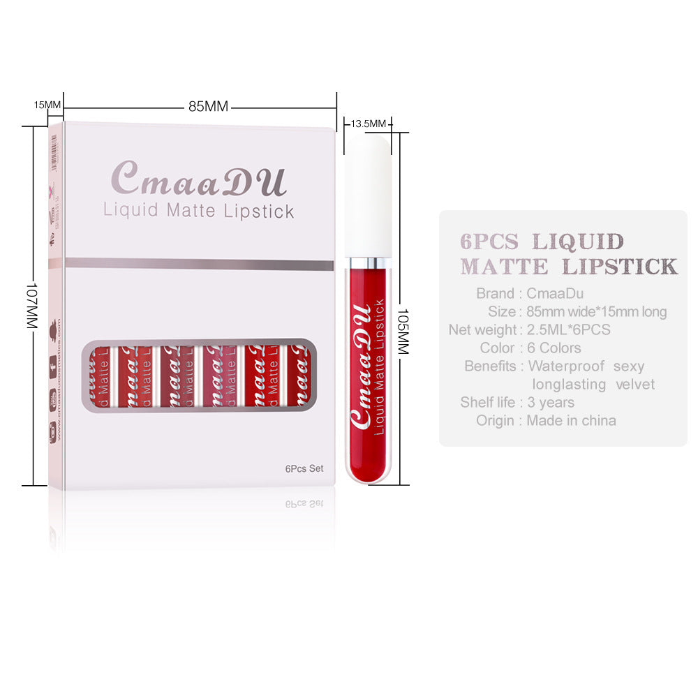 Long-Lasting Matte Lip Gloss with Vitamins β 6 pcs