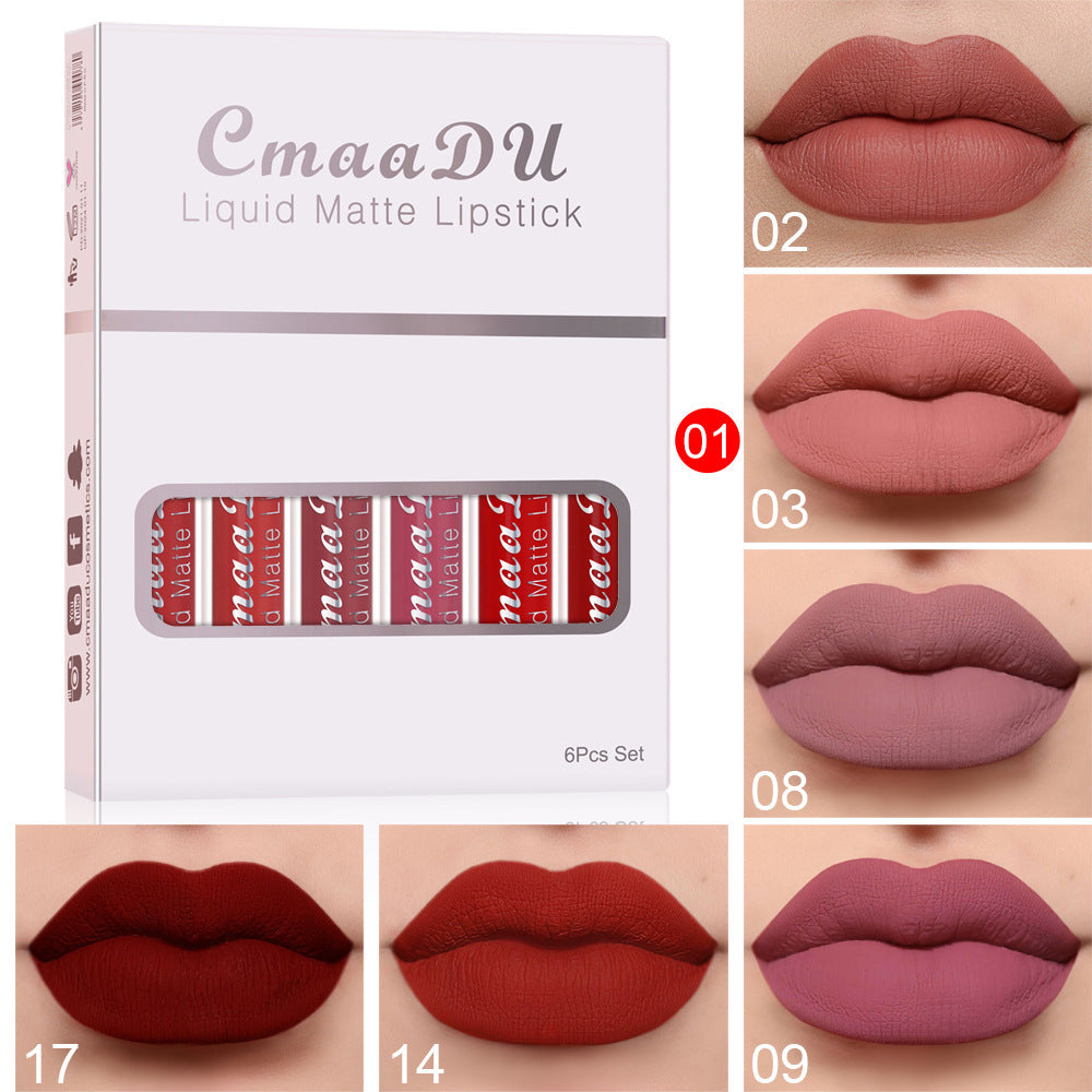 Long-Lasting Matte Lip Gloss with Vitamins β 6 pcs